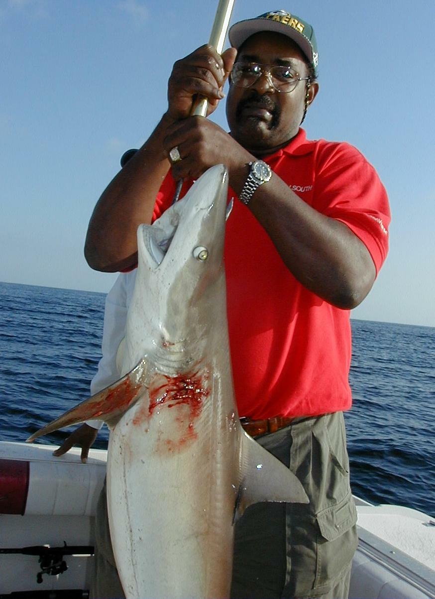 04_Ron_Shark