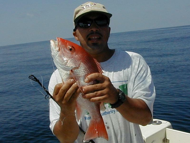 23_Steven_Snapper