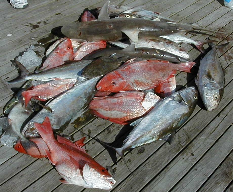 35_Catch