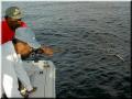 03_Ron_Hookup