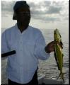 06_Walter_Mahi