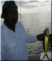 07_Walter_Mahi