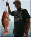 11_Al_Snapper
