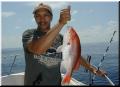 22_Al_Snapper