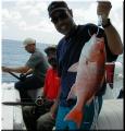 31_Kermit_Snapper
