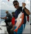 32_Kermit_Snapper
