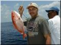 33_Al_Snapper_640