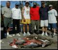 36_Catch_Group