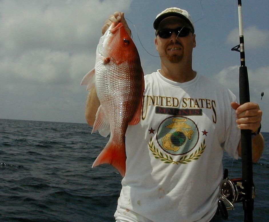 28_Dale_Snapper