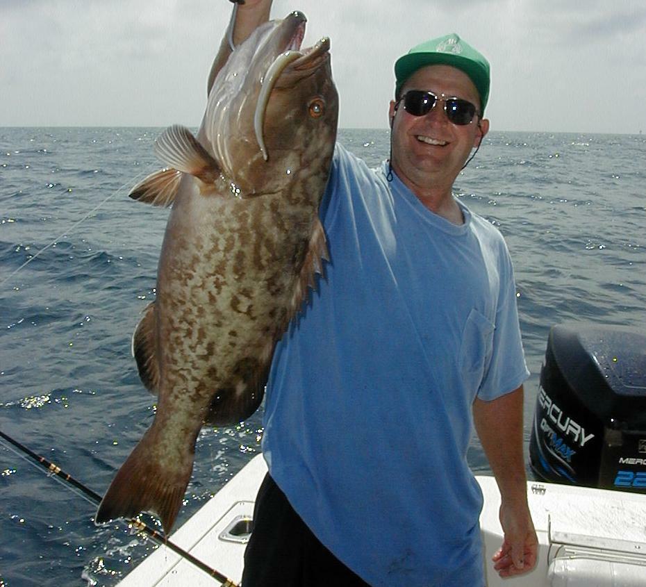 32_Gus_Grouper