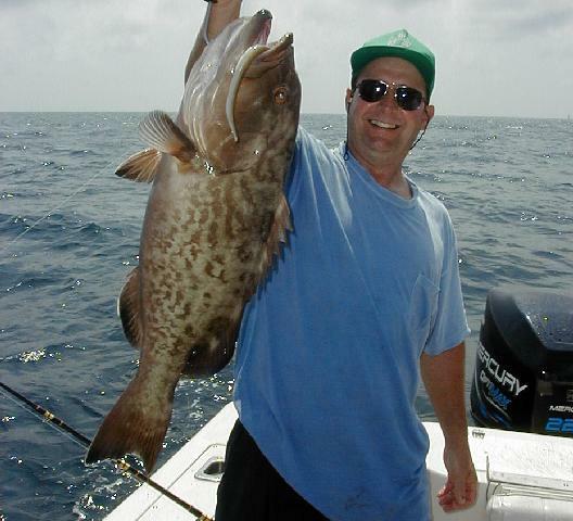 32_Gus_Grouper_528x480