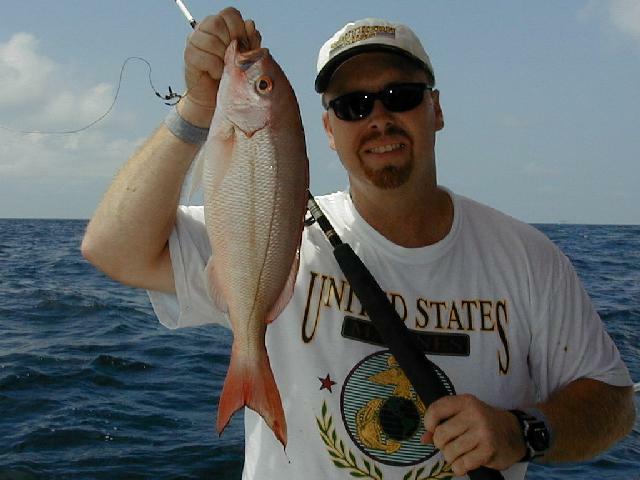 33_Dale_Beeliner_640