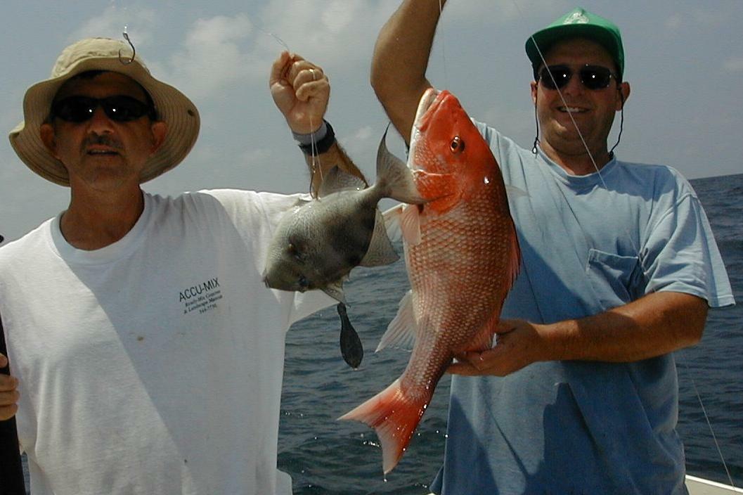 41_Mitch_Trig_Gus_Snapper