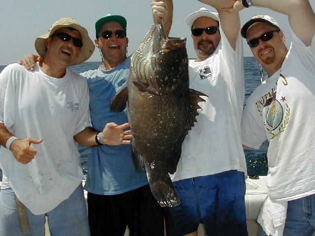 44_Crew_Grouper_640