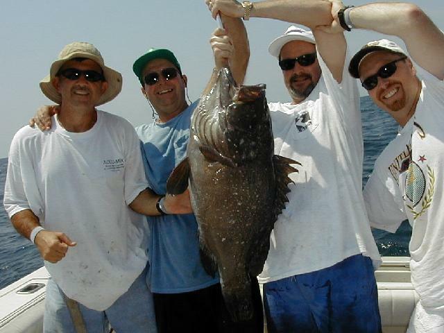 45_Crew_Grouper_640