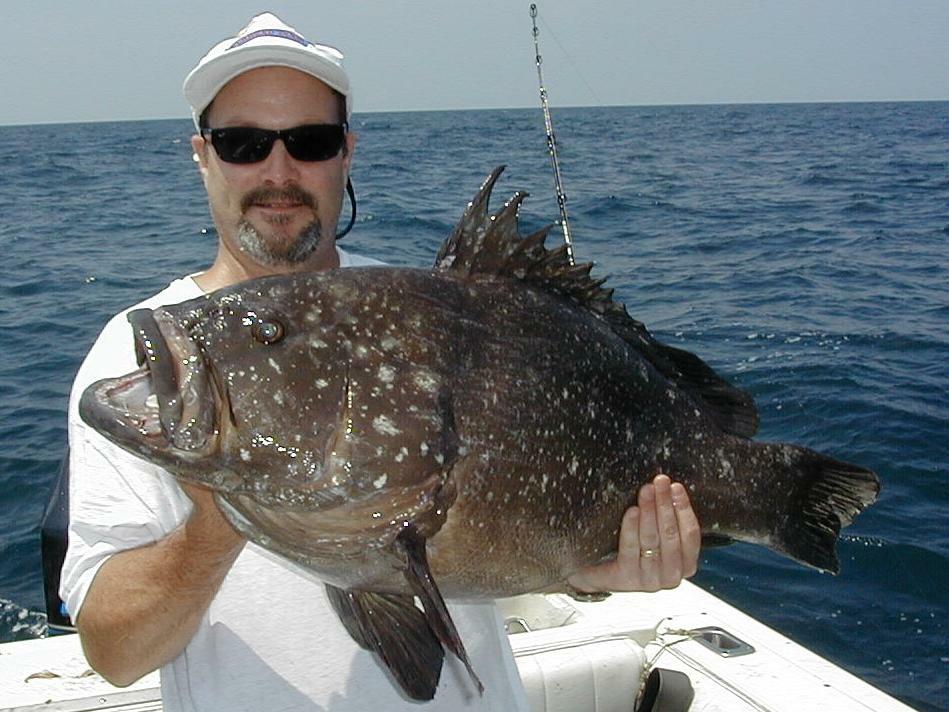 49_Mike_Grouper