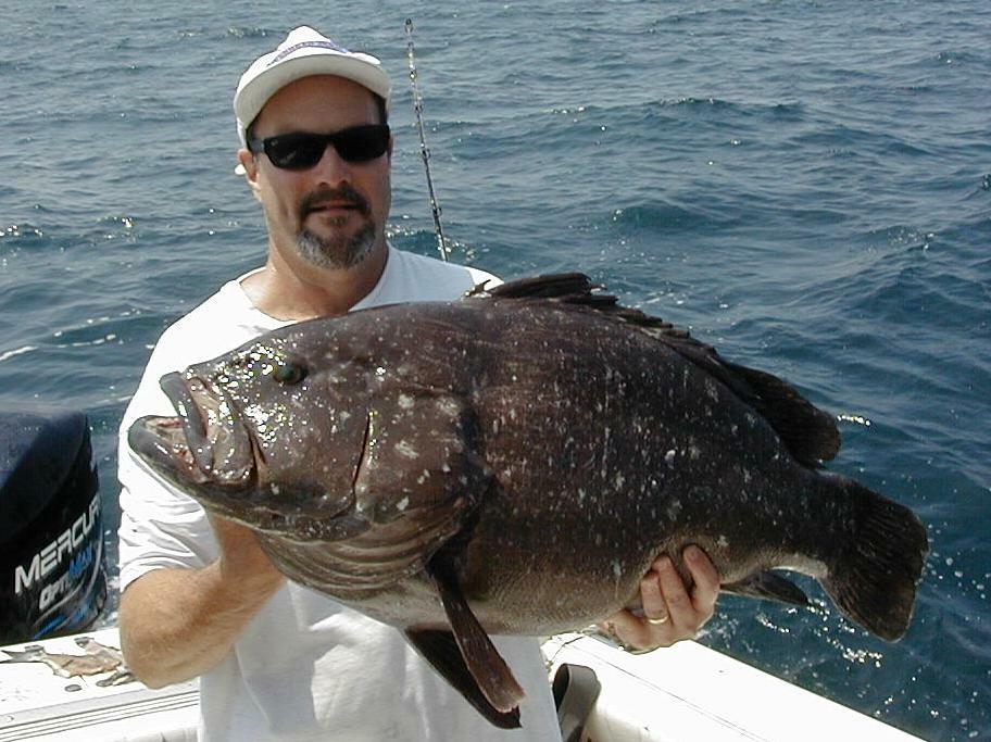 52_Mike_Grouper
