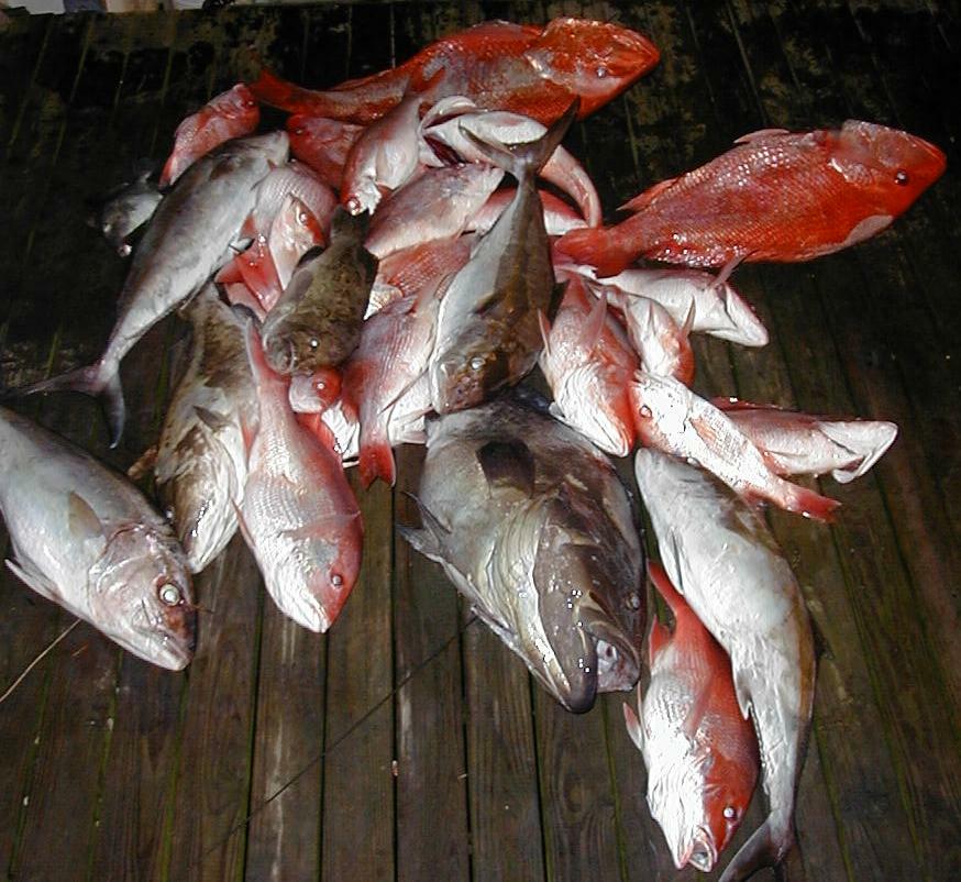 85_Catch