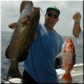 30_Gus_Grouper