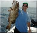 32_Gus_Grouper_528x480