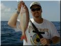 33_Dale_Beeliner_640