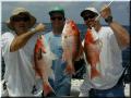 37_Mitch_Gus_Dale_Snappers_1024