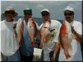 40_Crew_Snappers_1024