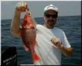43_Mike_Snapper