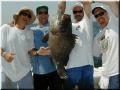 44_Crew_Grouper_640