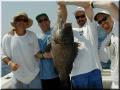 45_Crew_Grouper_1024