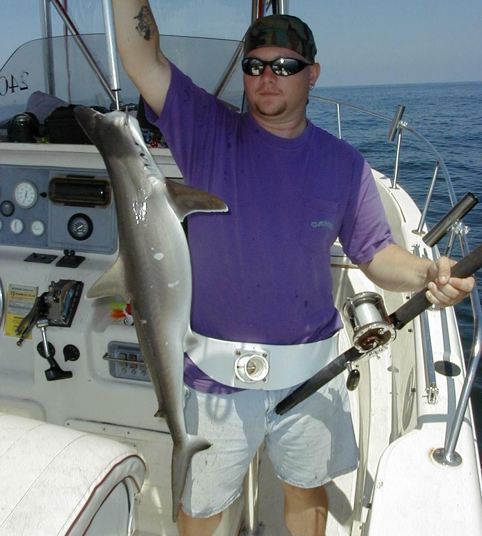 31_Robert_Shark