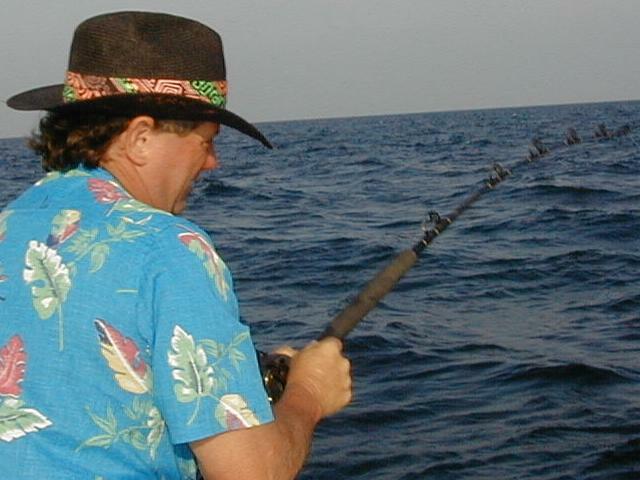 76_Roy_Hookup