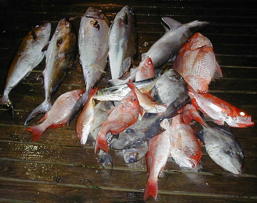 83_Catch