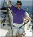 31_Robert_Shark