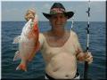 38_Roy_Snapper_640