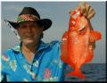 54_Roy_BigEye