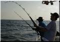 75_Kirk_Hookup