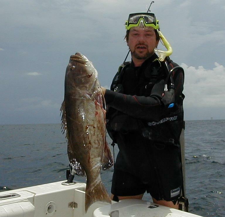 26_Kirk_Grouper