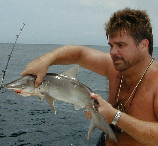 32_Ira_Shark