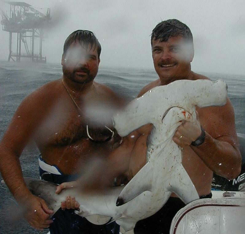 36_Ira_Mark_Hammerhead