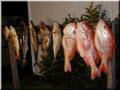 50_Catch