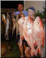 56_Catch