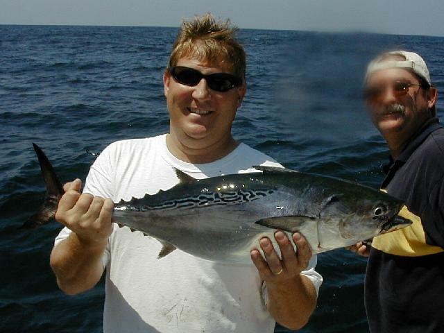 14_kerry_bonito_640