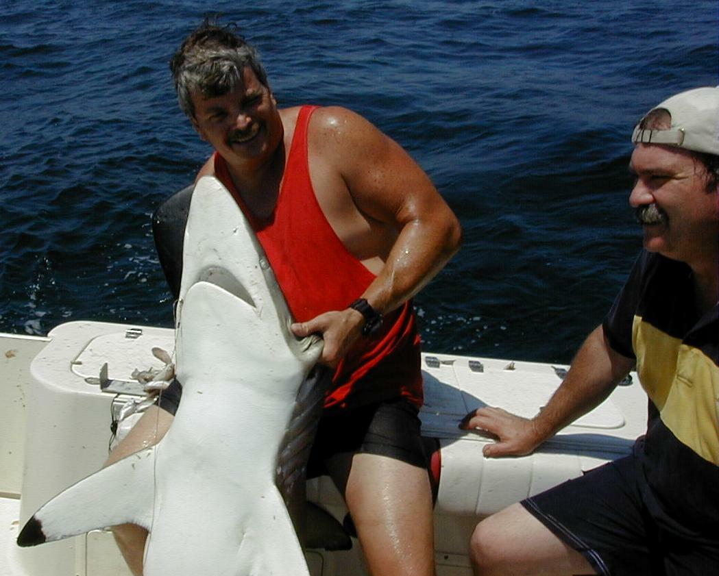 39_Mark_Andy_Shark