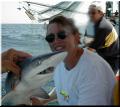 09_Vicky_Shark