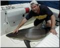 36_Andy_Shark