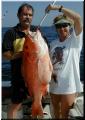 62_Andy_Suzanne_SOW