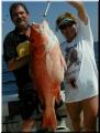 63_Andy_Suzanne_SOW