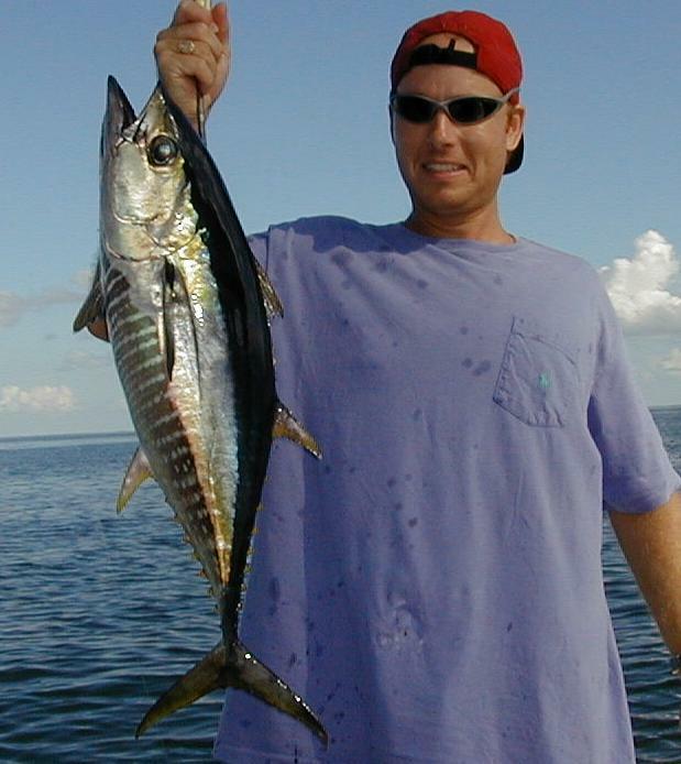 37_Van_Blackfin