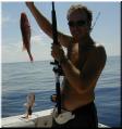 29_Van_Snapper